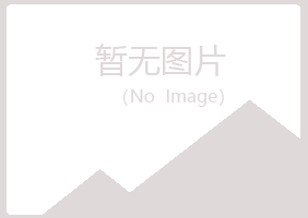 庆阳西峰现实建设有限公司